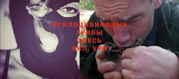 эйфоретик Кукмор