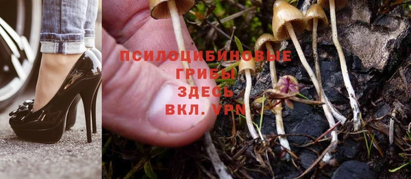 хмурый Куйбышев