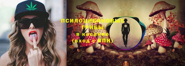 эйфоретик Кукмор