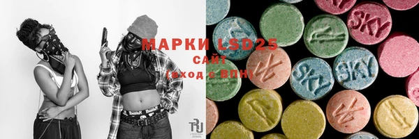 эйфоретик Кукмор