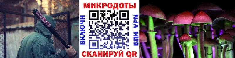 Купить где  Клин  Псилоцибиновые грибы мухоморы 
